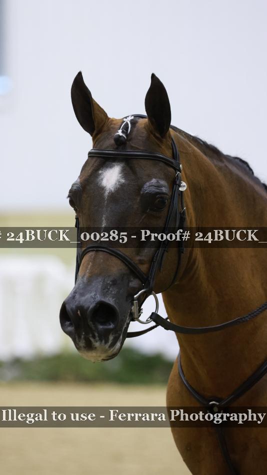 Proof 24BUCK_00285