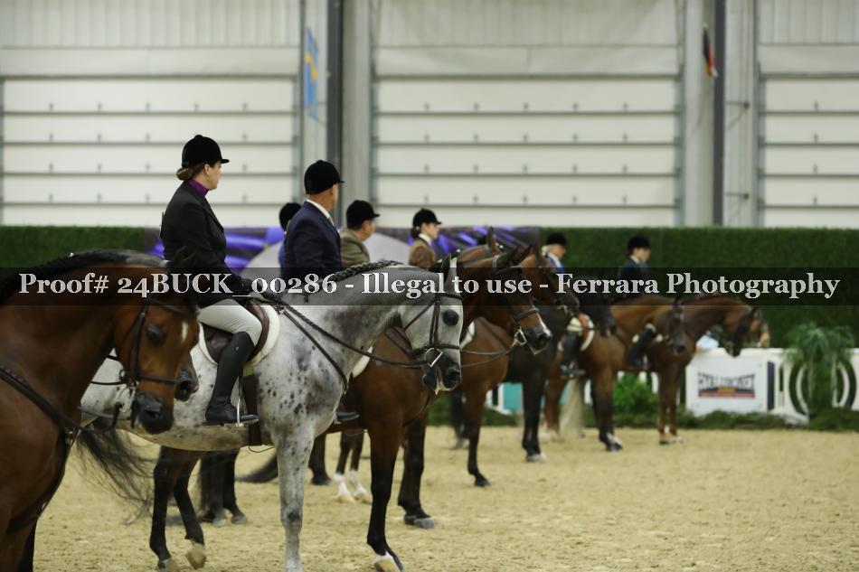 Proof 24BUCK_00286