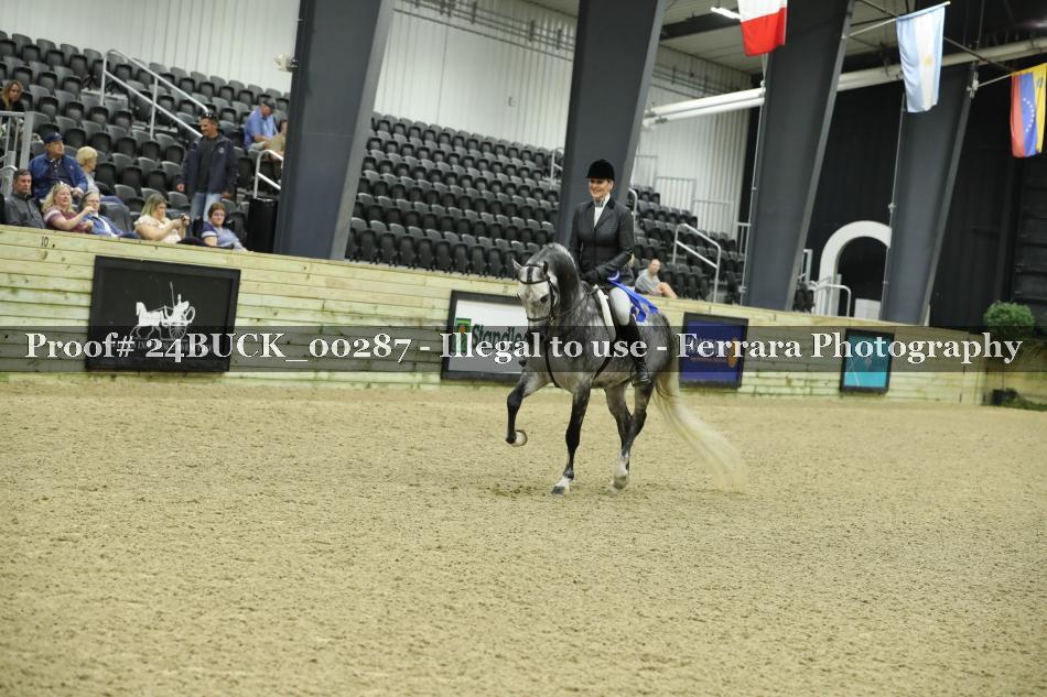 Proof 24BUCK_00287