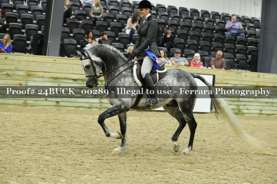 Proof 24BUCK_00289