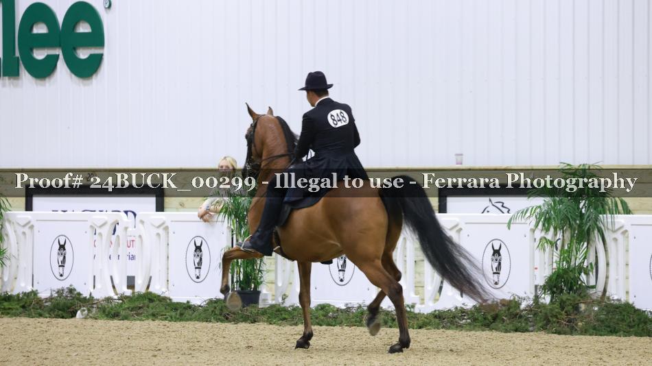 Proof 24BUCK_00299