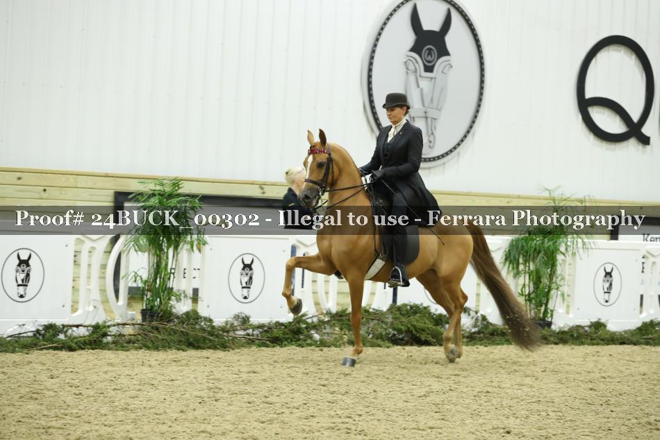 Proof 24BUCK_00302