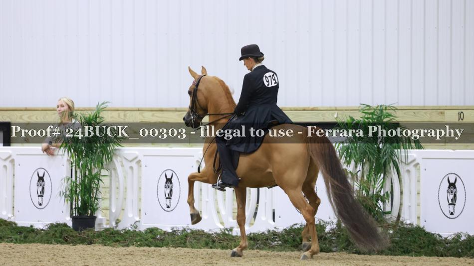 Proof 24BUCK_00303