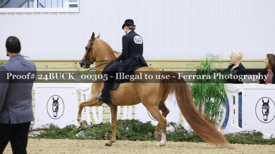 Proof 24BUCK_00305