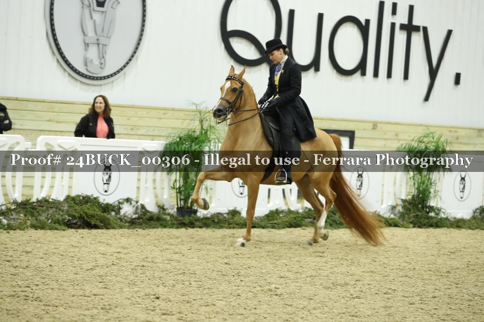 Proof 24BUCK_00306