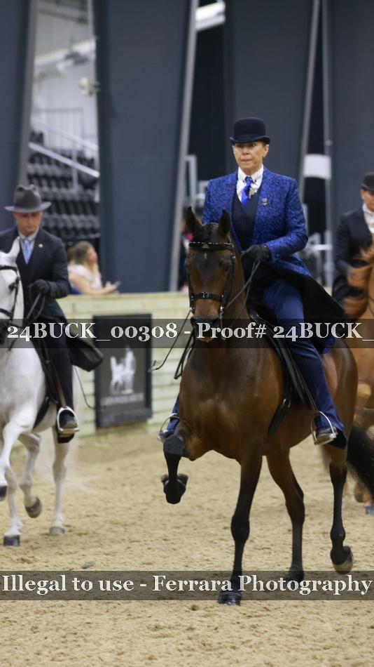 Proof 24BUCK_00308