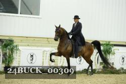 24BUCK_00309 proof