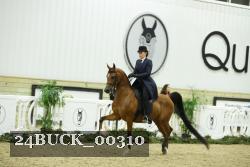 24BUCK_00310 proof