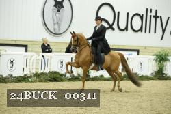 24BUCK_00311 proof