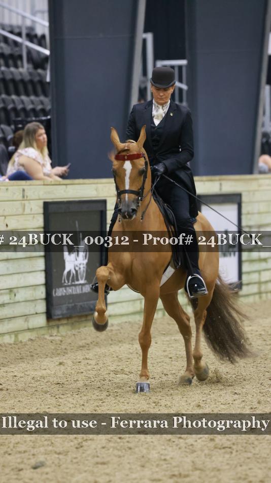 Proof 24BUCK_00312