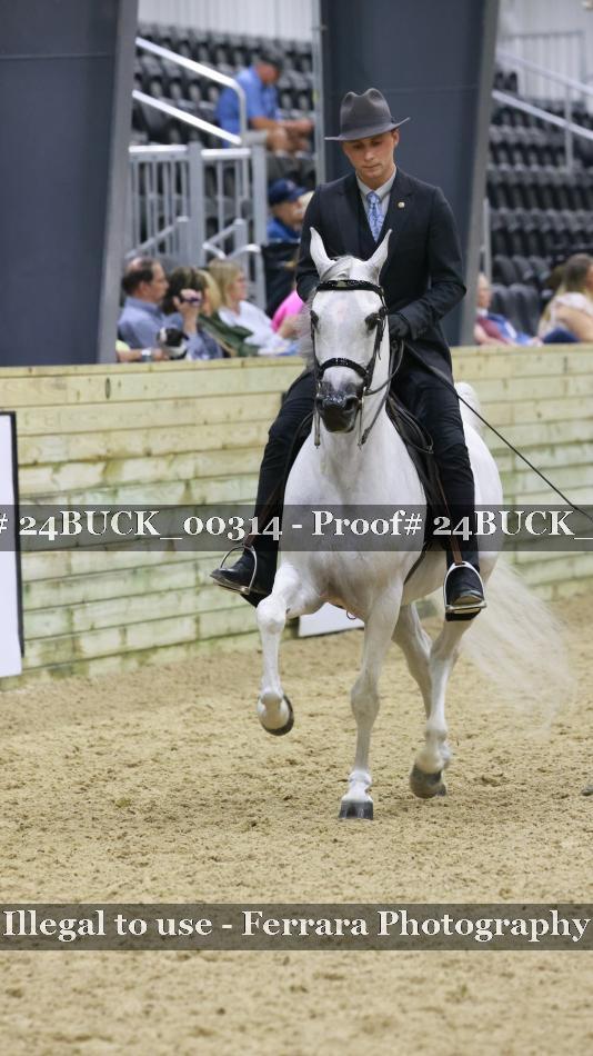 Proof 24BUCK_00314