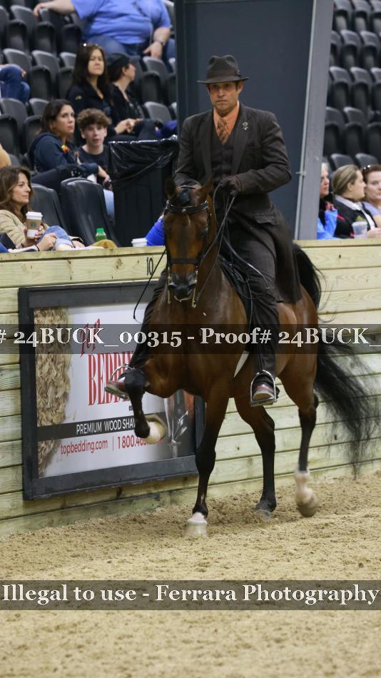 Proof 24BUCK_00315