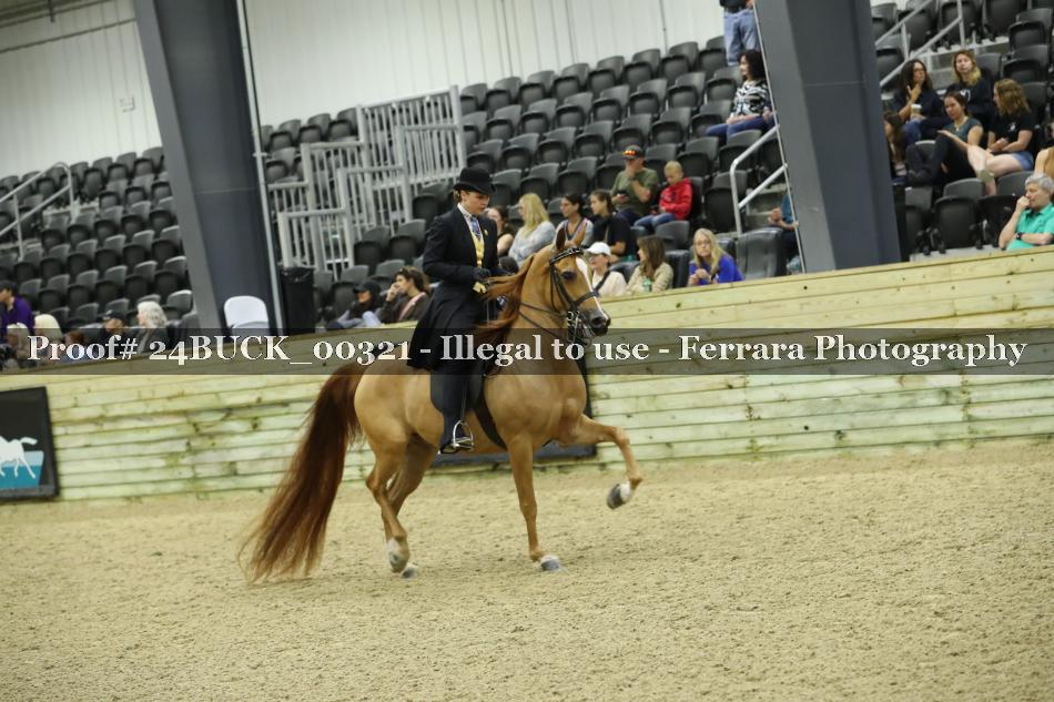 Proof 24BUCK_00321
