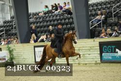 24BUCK_00323 proof