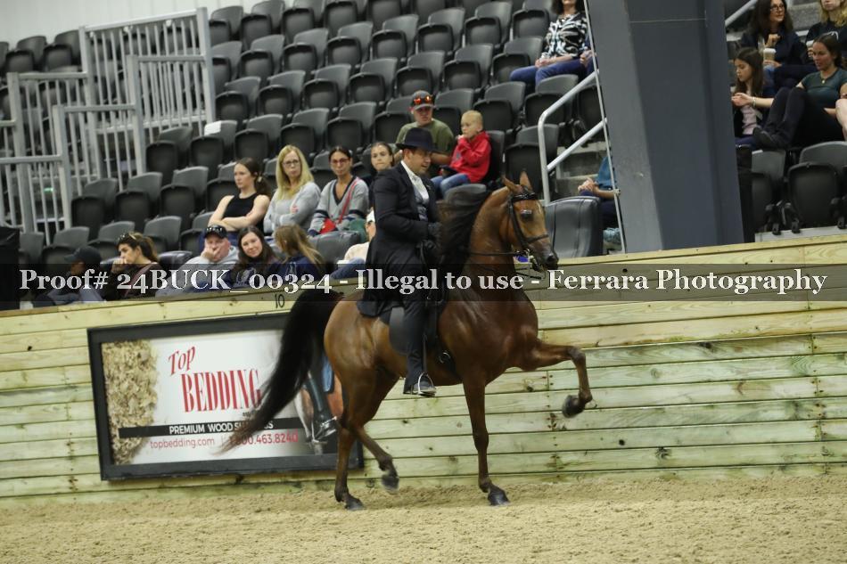 Proof 24BUCK_00324