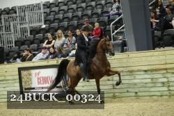 24BUCK_00324 proof