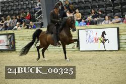 24BUCK_00325 proof
