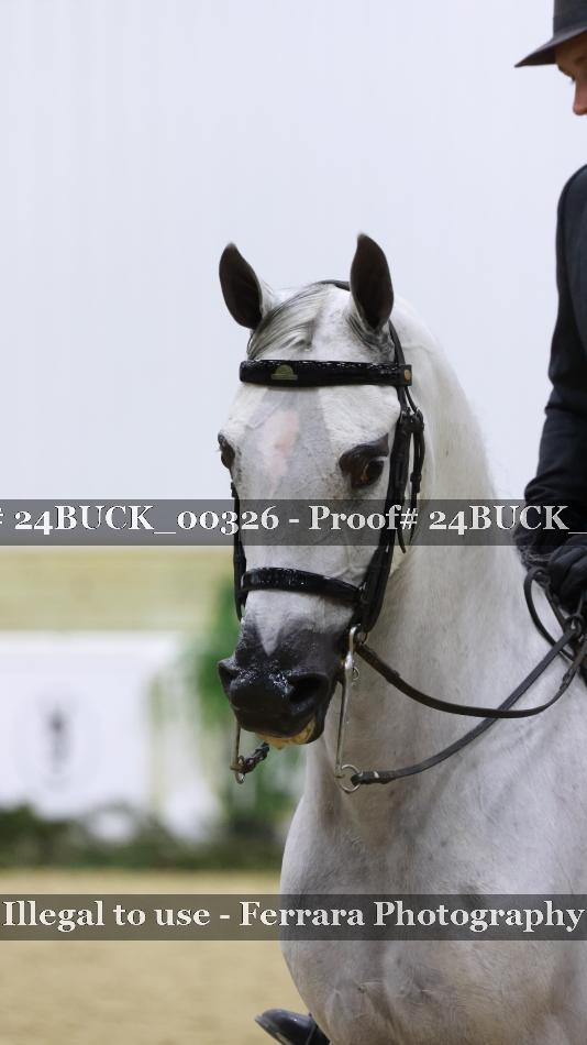 Proof 24BUCK_00326