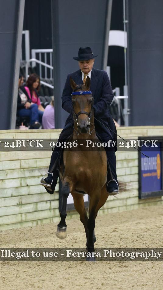 Proof 24BUCK_00336