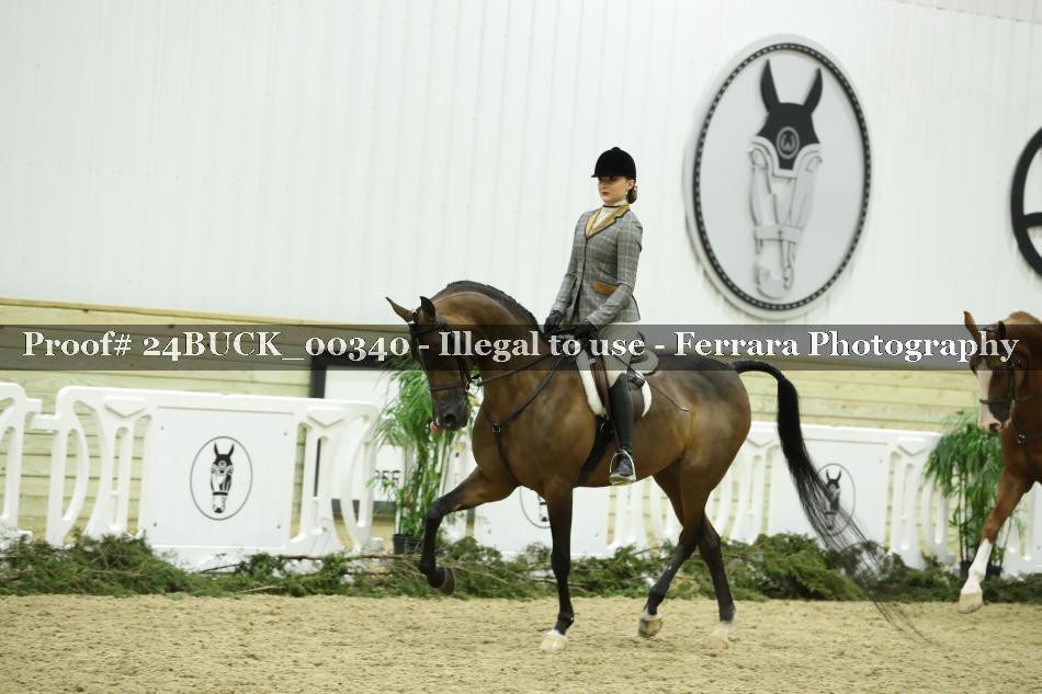 Proof 24BUCK_00340