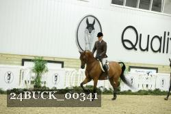 24BUCK_00341 proof