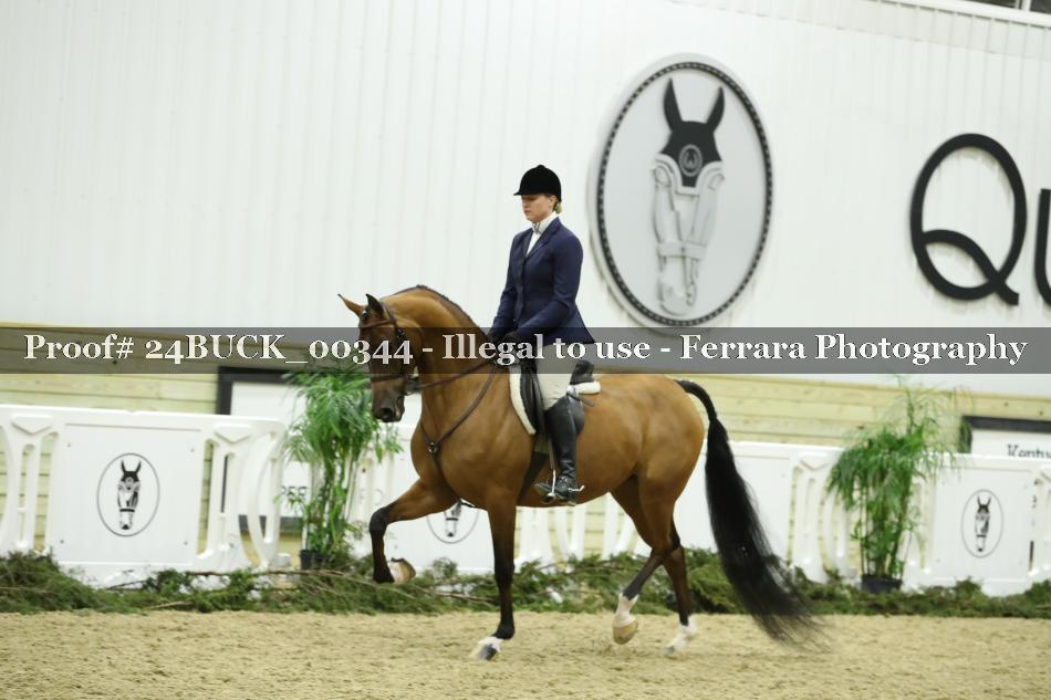 Proof 24BUCK_00344