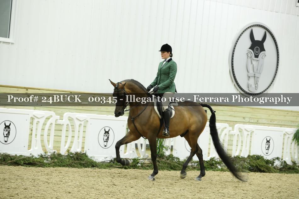 Proof 24BUCK_00345