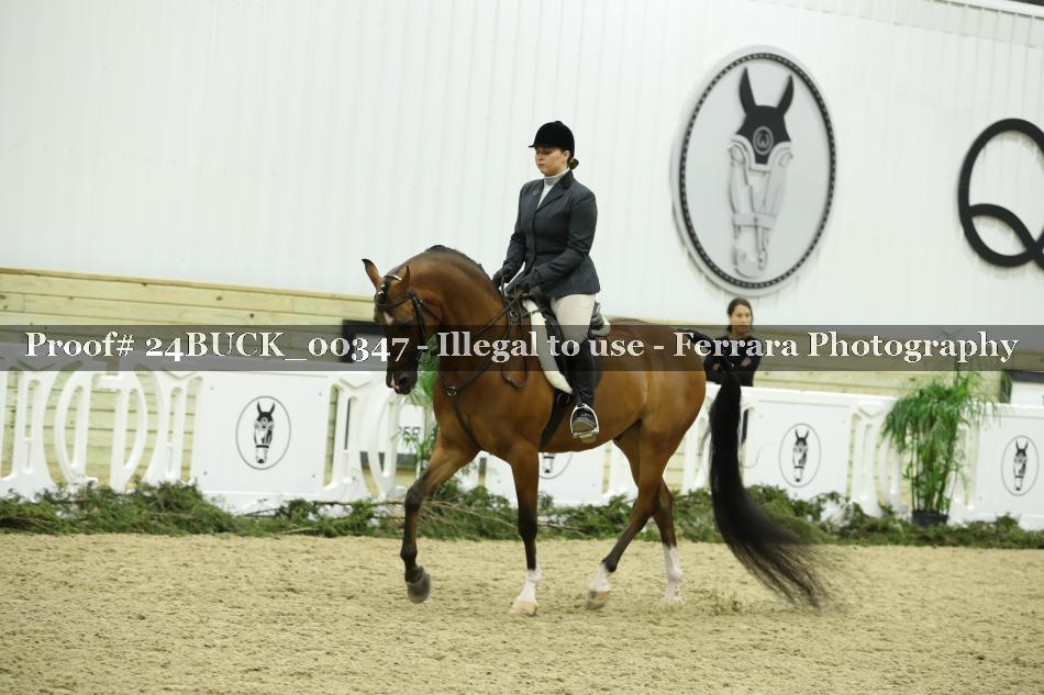 Proof 24BUCK_00347