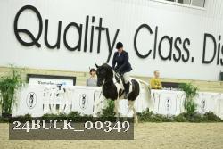 24BUCK_00349 proof