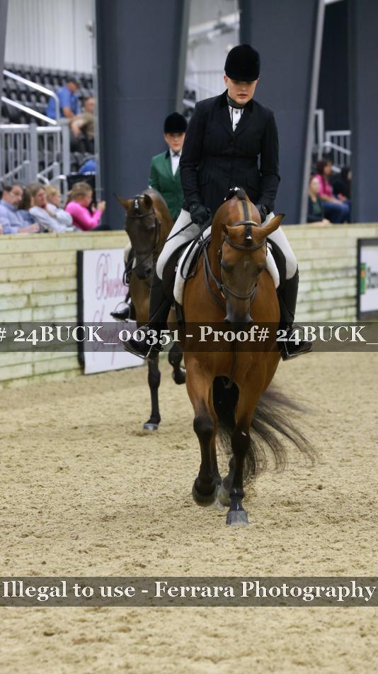 Proof 24BUCK_00351