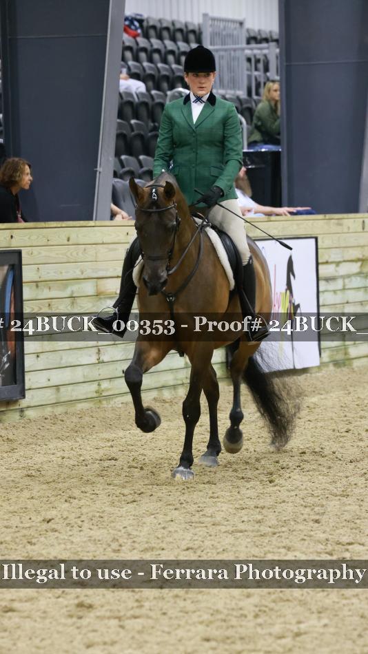 Proof 24BUCK_00353