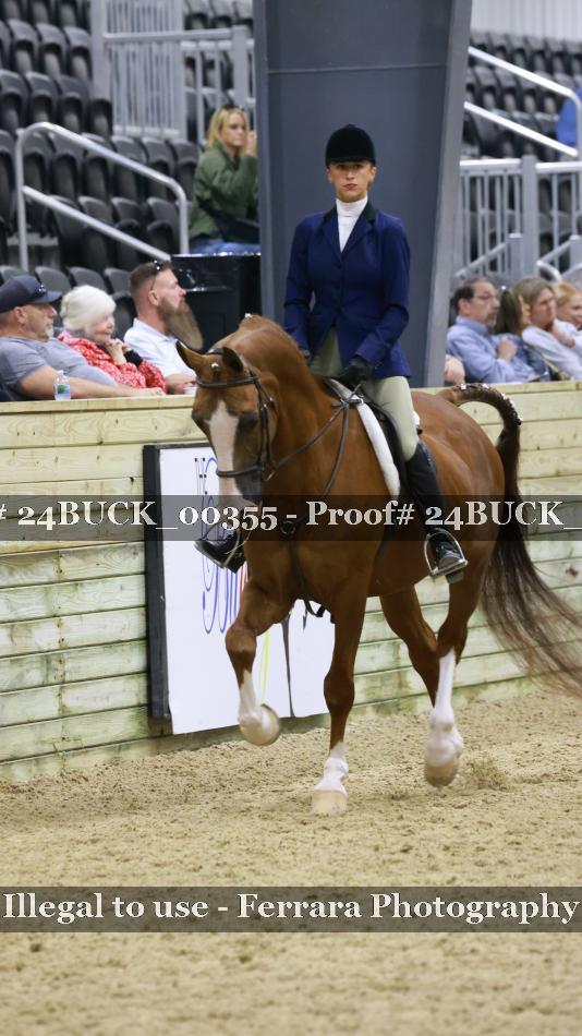 Proof 24BUCK_00355