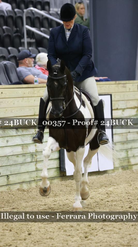 Proof 24BUCK_00357