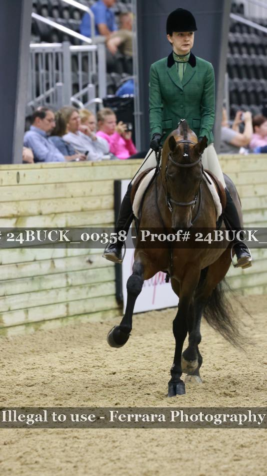 Proof 24BUCK_00358