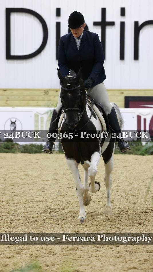 Proof 24BUCK_00365