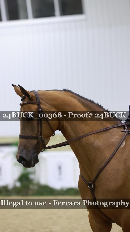 Proof 24BUCK_00368