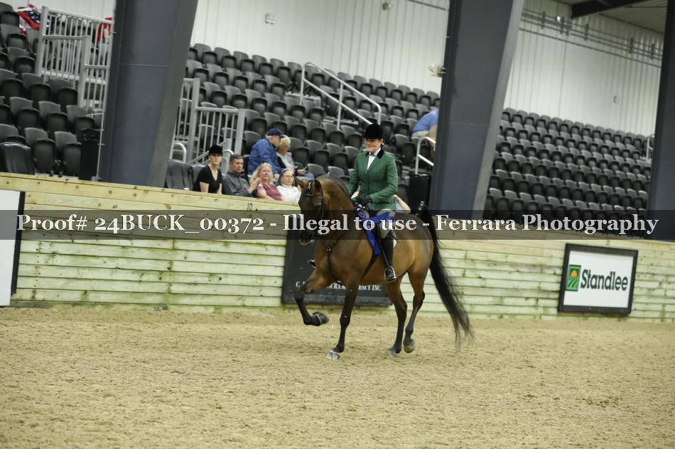 Proof 24BUCK_00372