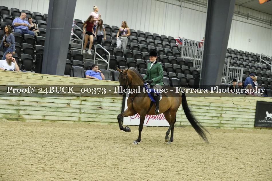 Proof 24BUCK_00373