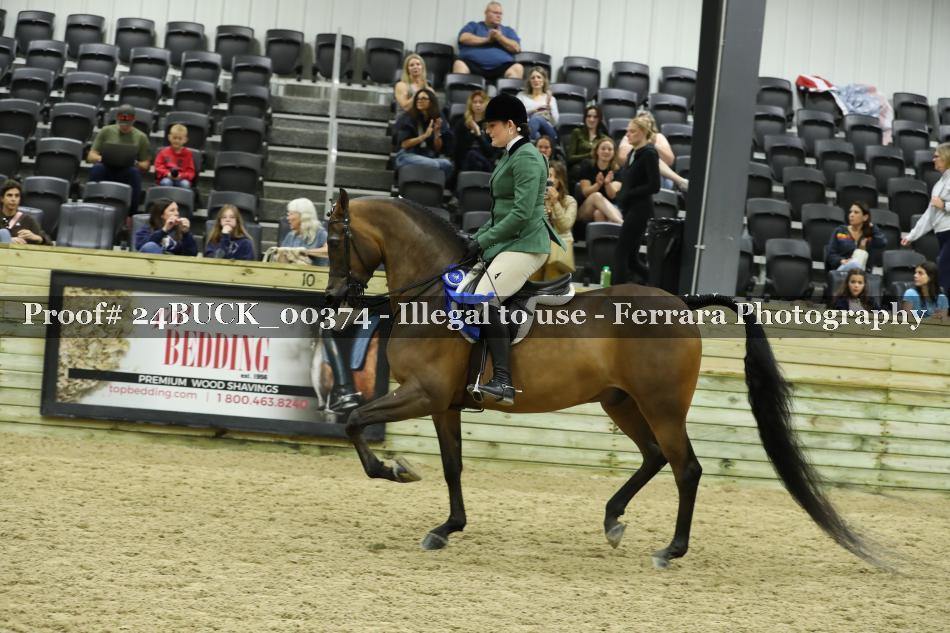 Proof 24BUCK_00374