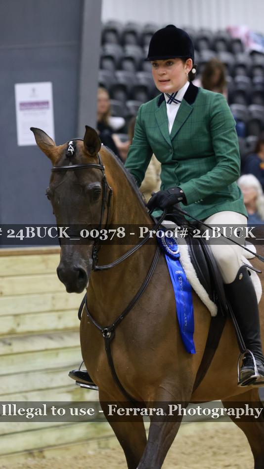 Proof 24BUCK_00378