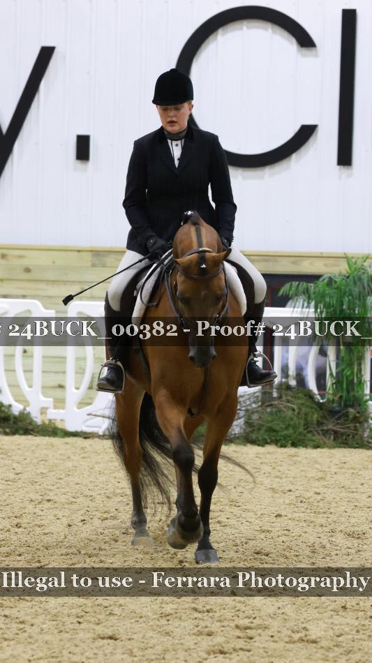 Proof 24BUCK_00382