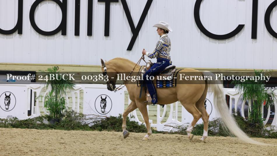Proof 24BUCK_00383