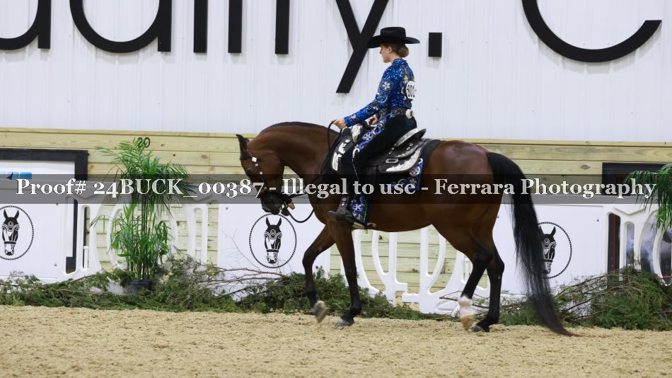 Proof 24BUCK_00387