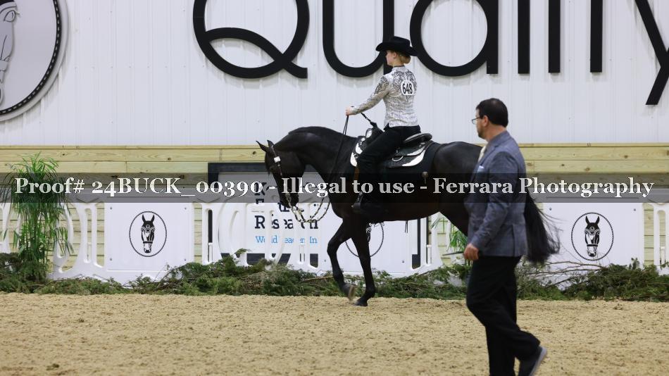 Proof 24BUCK_00390