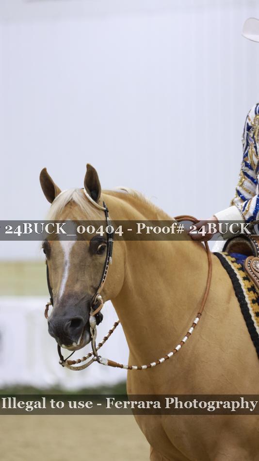 Proof 24BUCK_00404