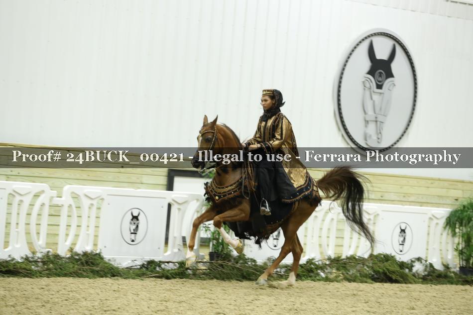 Proof 24BUCK_00421