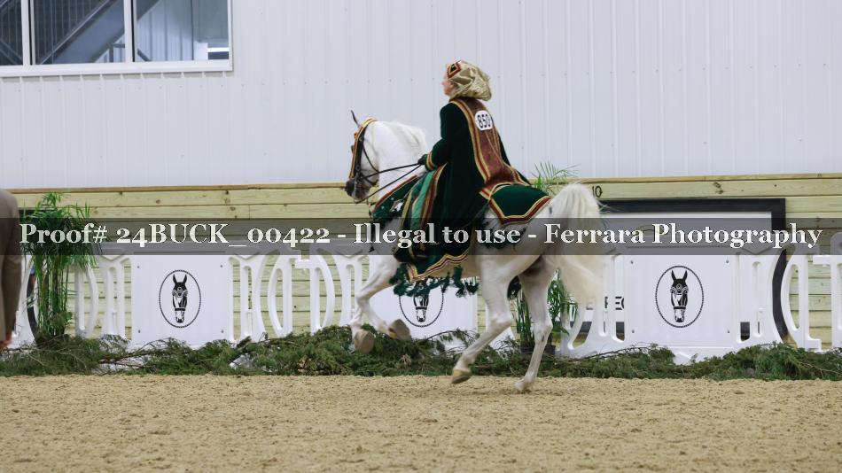 Proof 24BUCK_00422