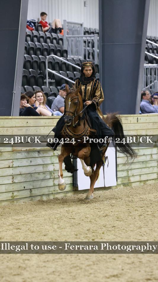 Proof 24BUCK_00424