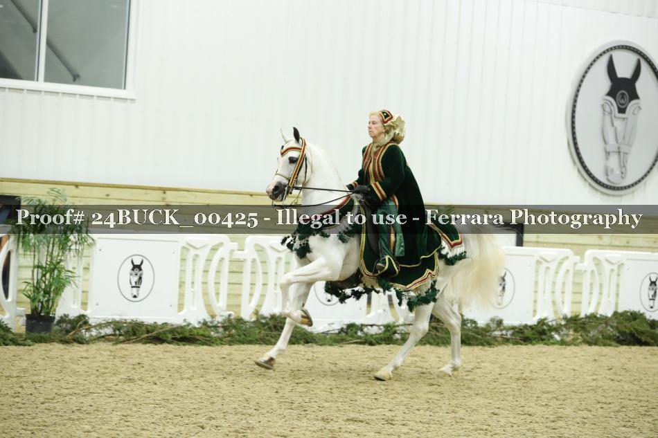 Proof 24BUCK_00425