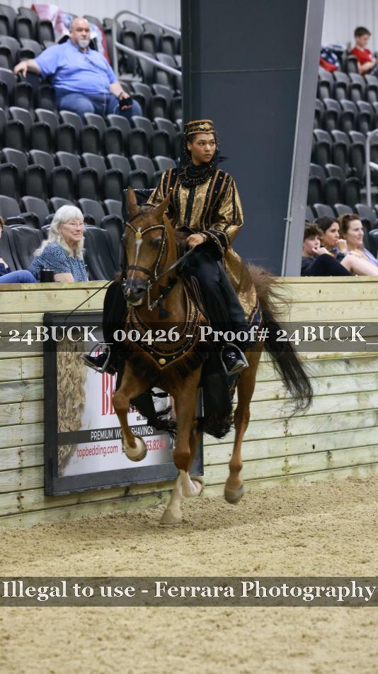 Proof 24BUCK_00426